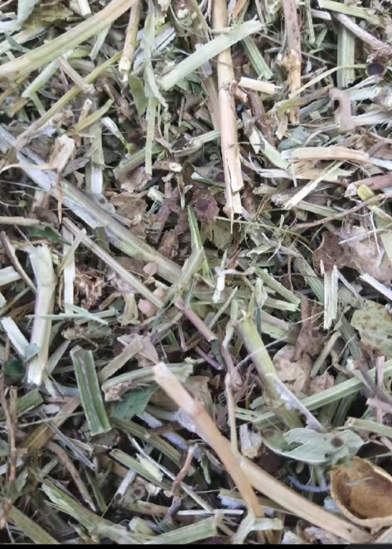 河南精品花生秧草料饲料原料牛草羊草诚信经营一手货源
