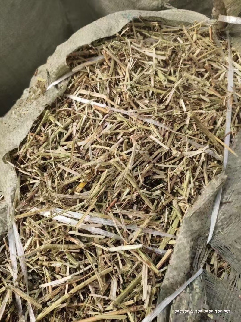 河南精品花生秧草料饲料原料牛草羊草诚信经营一手货源