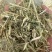 河南精品花生秧草料饲料原料牛草羊草诚信经营一手货源