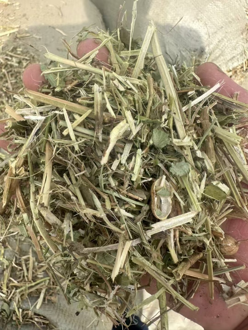 河南精品花生秧草料饲料原料牛草羊草诚信经营一手货源