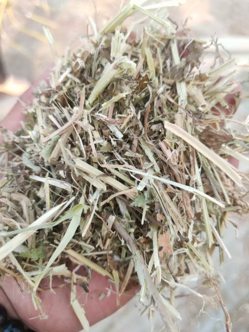 河南精品花生秧草料饲料原料牛草羊草诚信经营一手货源