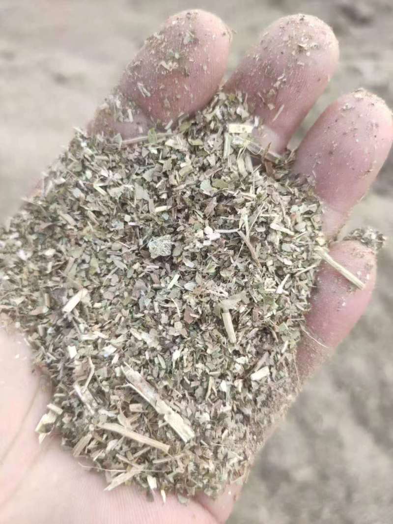 长年出售花生草粉优质草料牛羊饲料干净无杂质量大从优