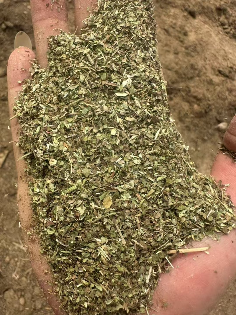长年出售花生草粉优质草料牛羊饲料干净无杂质量大从优