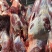 育肥公牛，全牛批发。国产纯干排酸牛肉，精修去油，口感细嫩