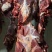 育肥公牛，全牛批发。国产纯干排酸牛肉，精修去油，口感细嫩
