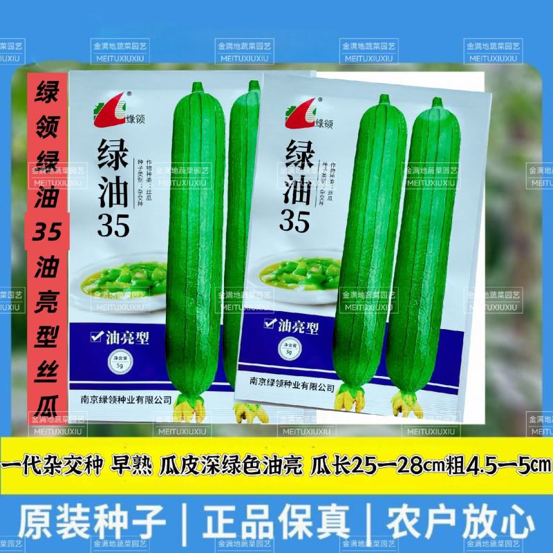 绿领绿油35丝瓜种子一代杂交早熟油亮型丝瓜种子籽瓜皮深绿