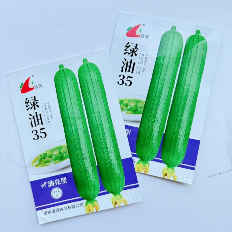 绿领绿油35丝瓜种子一代杂交早熟油亮型丝瓜种子籽瓜皮深绿