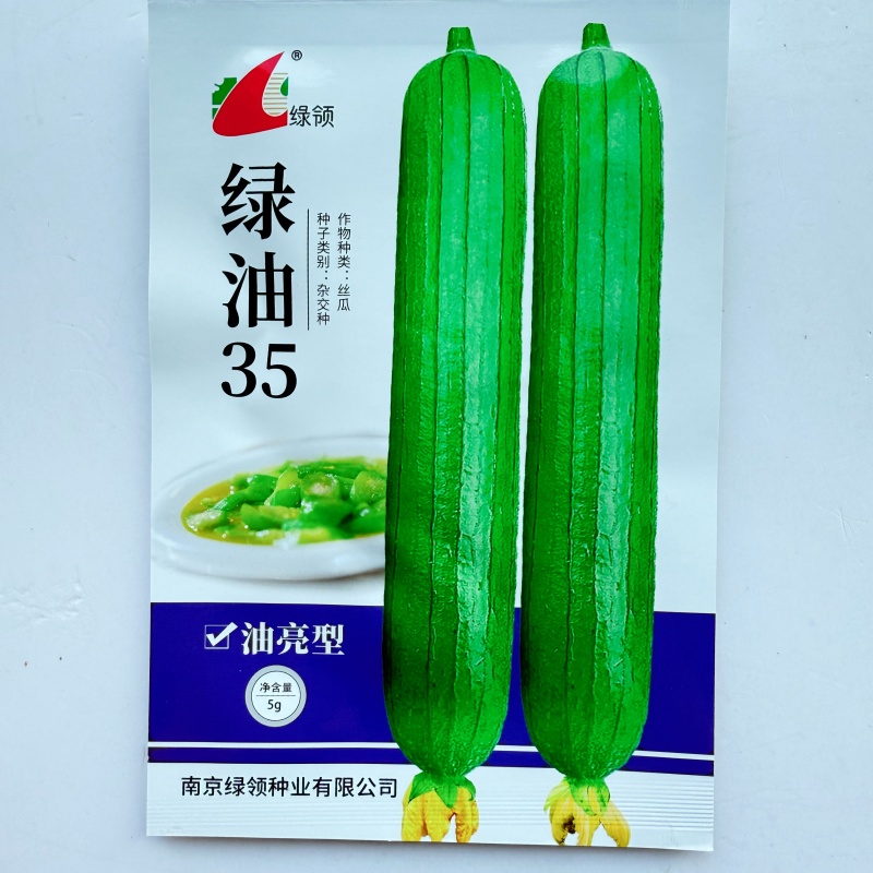 绿领绿油35丝瓜种子一代杂交早熟油亮型丝瓜种子籽瓜皮深绿