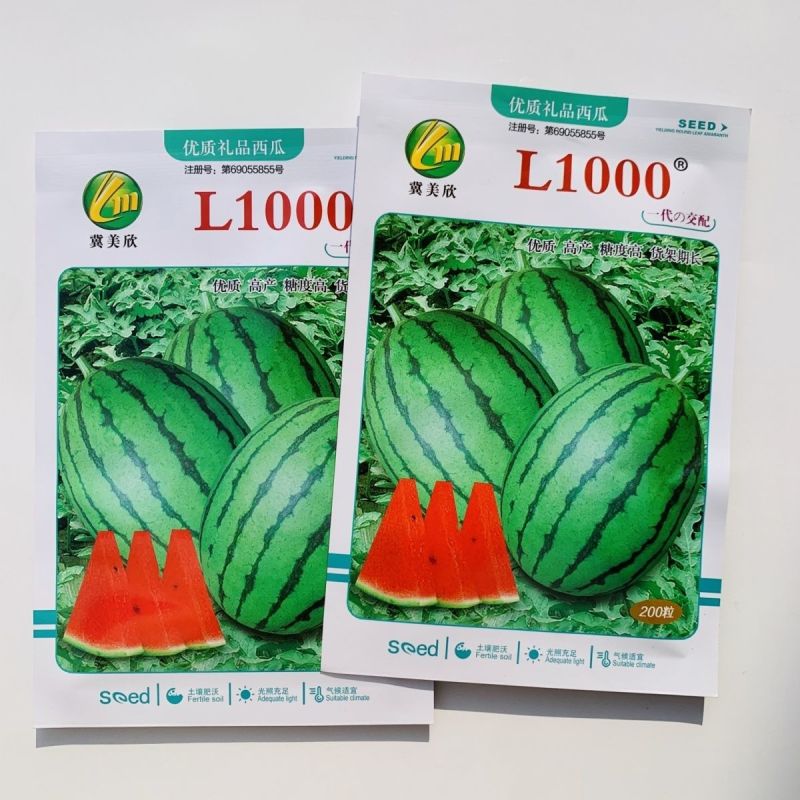 礼品西瓜种籽L1000西瓜种子特甜耐裂一代交配早熟礼品瓜