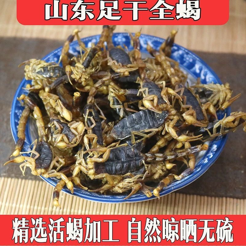 【蝎子】蝎子清水全虫干货物美价廉产地直供