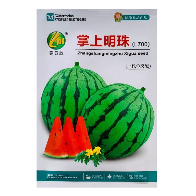 掌上明珠L700西瓜种子特甜礼品西瓜种子早熟小型西瓜种籽