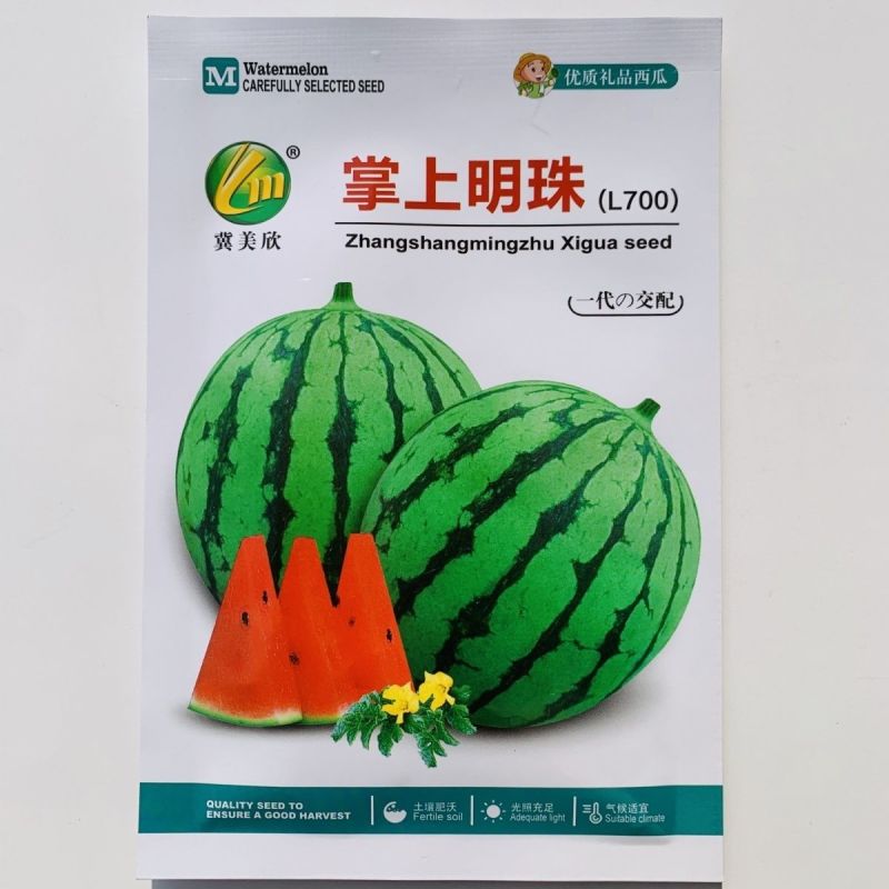 掌上明珠L700西瓜种子特甜礼品西瓜种子早熟小型西瓜种籽
