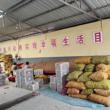 现有精品香玲核桃4万斤