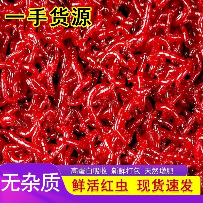 红虫一手货源全国包送家价格便宜跑量价量大优惠