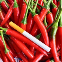 精品小米椒常年供用对接电商商超市场货