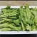 精品白菜苔欢迎老板来发财