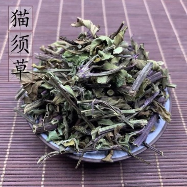 【猫须草】猫须草量大从优物美价廉产地直供