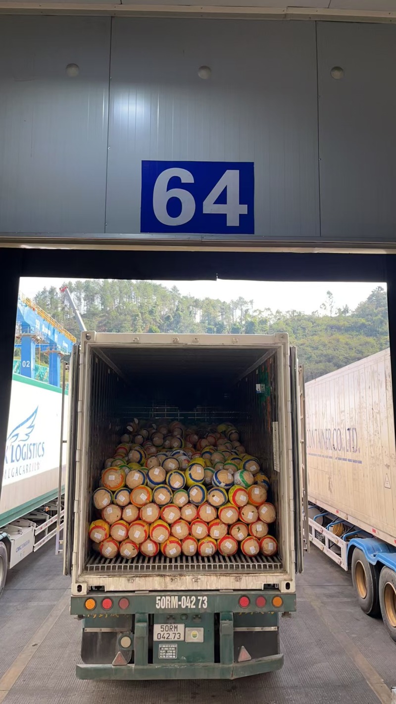 【玫瑰红菠萝蜜产地直供】印尼红菠萝蜜一手货源质量保证价格