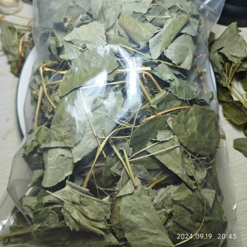 【淫羊藿】淫羊藿量大从优物美价廉产地直供