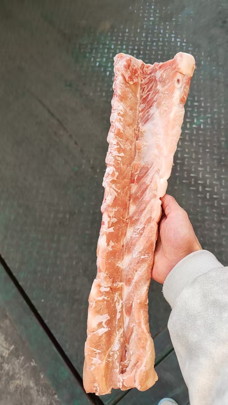 猪脊骨（龙骨）
