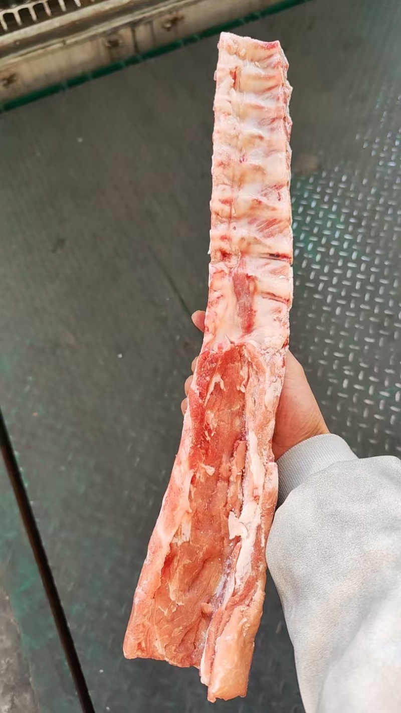 猪脊骨（龙骨）