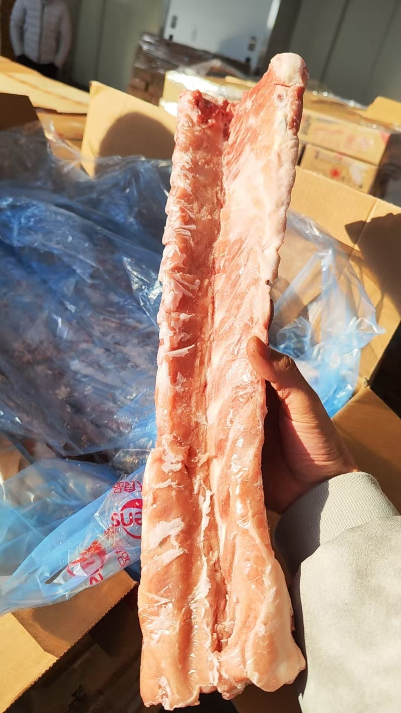 猪脊骨（龙骨）