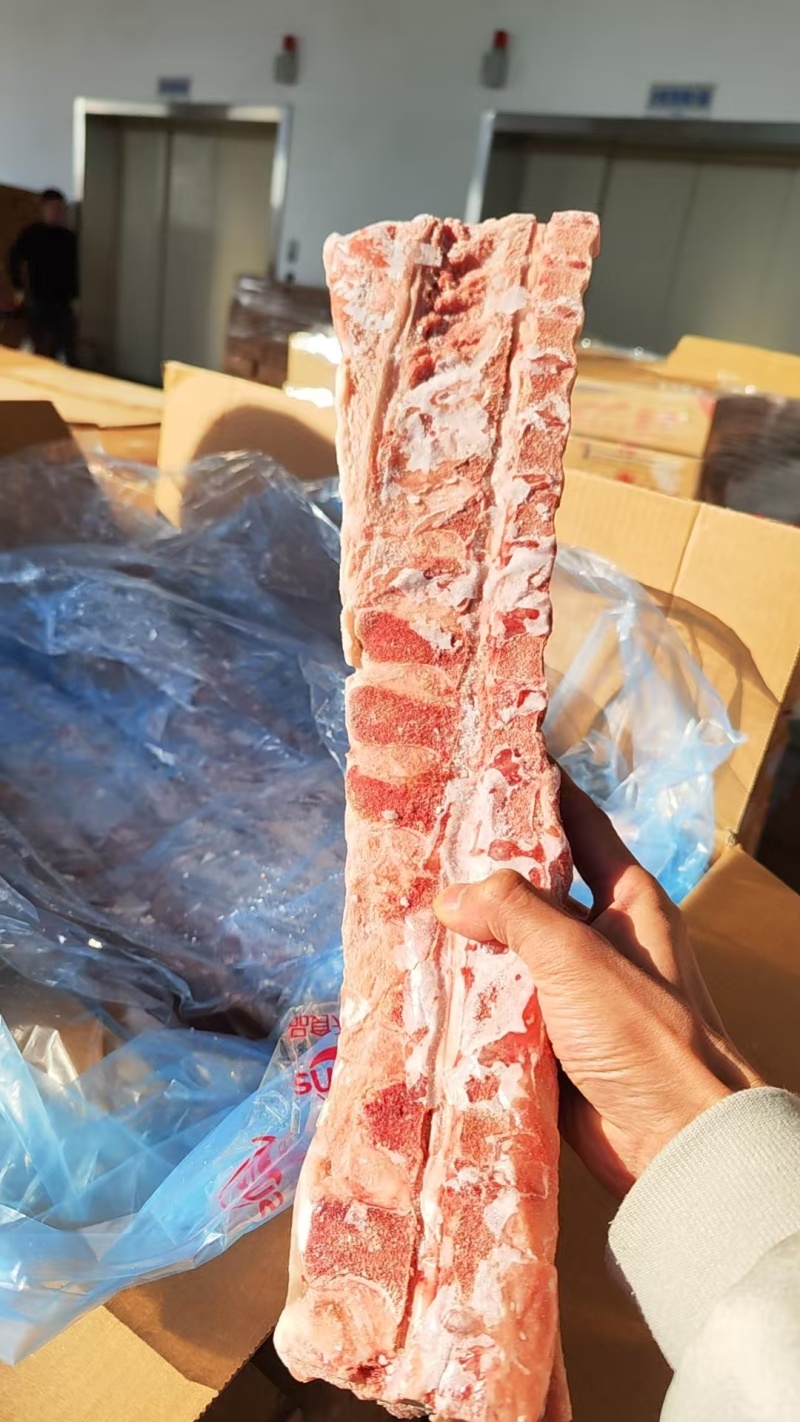 猪脊骨（龙骨）