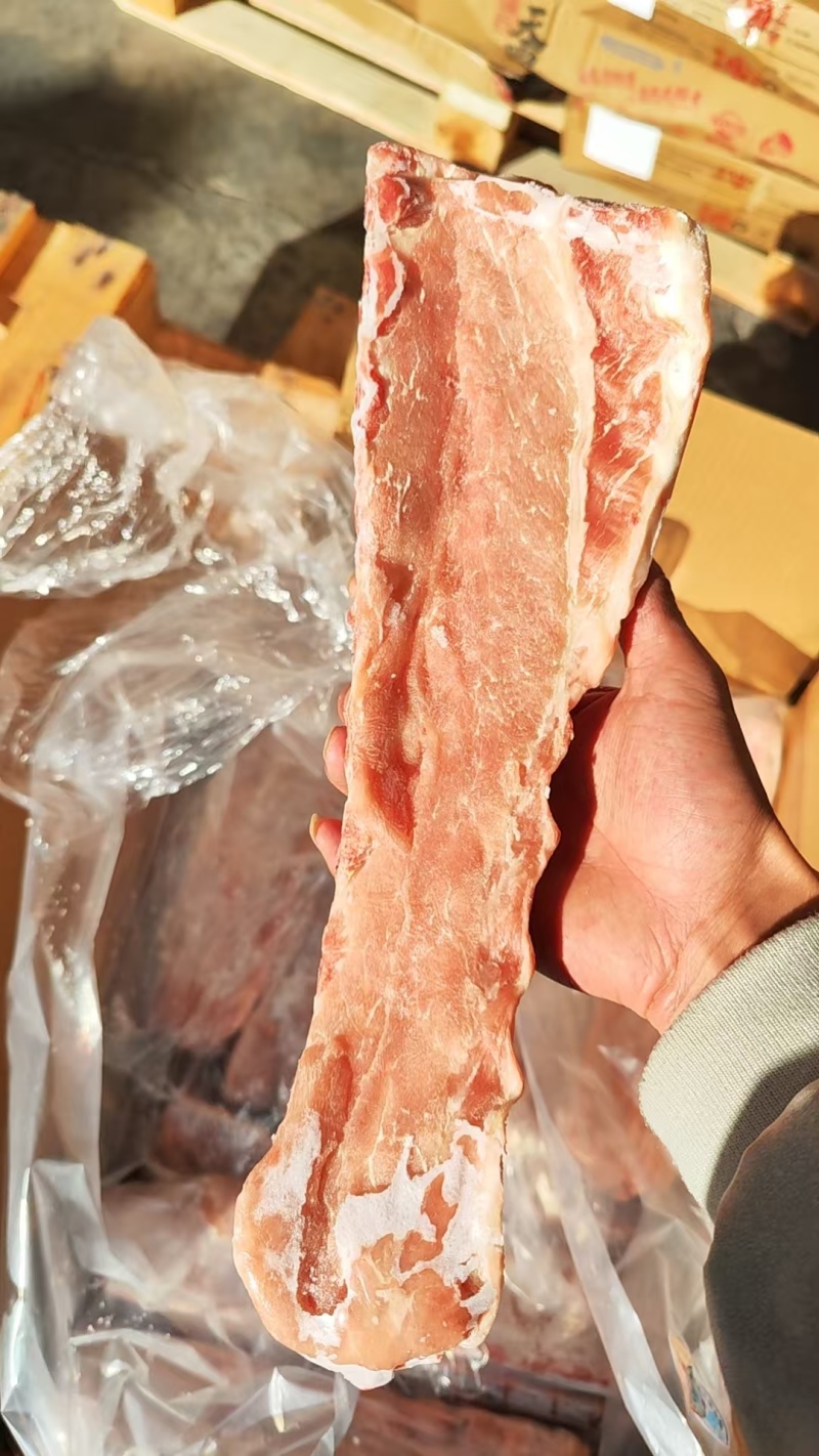 猪脊骨（龙骨）