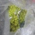 大量供应山东青岛莱西精品阳光玫瑰晴王葡萄