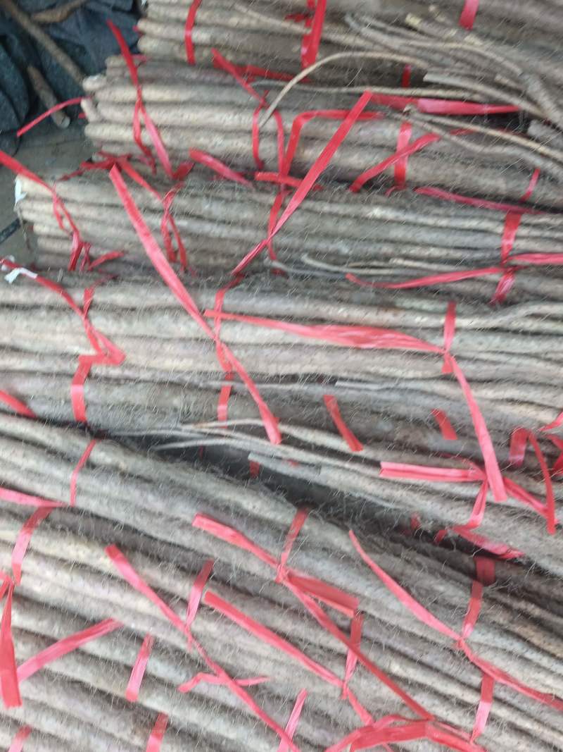 万亩红皮铁棍山药，货真价实一手货源品质保证
