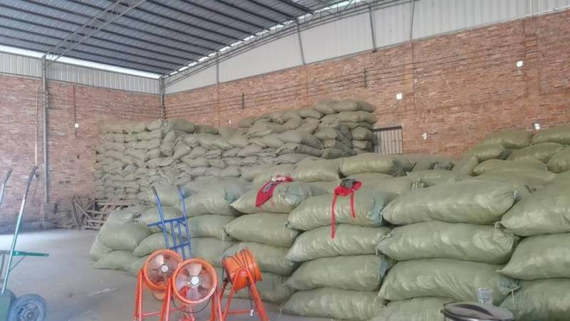 大量出售原产地三叉苦，当地产地直供，品质保证，**特惠！