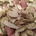 黄芪黄芪新货甘肃无硫黄芪豆香味足岷县黄芪道地产区批发零售
