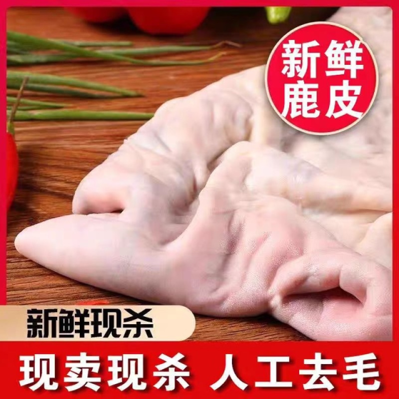 当天现杀的梅花鹿鹿皮