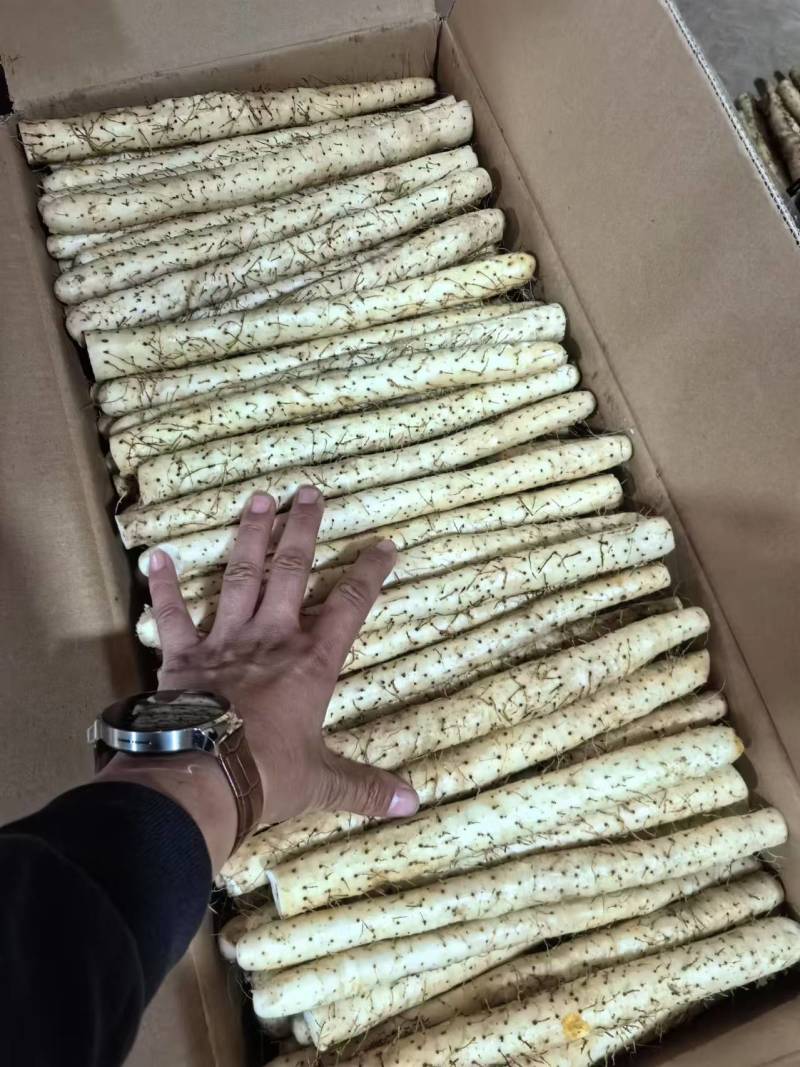 (推荐)小白嘴山药质优。基地直供连锁超市电商团购