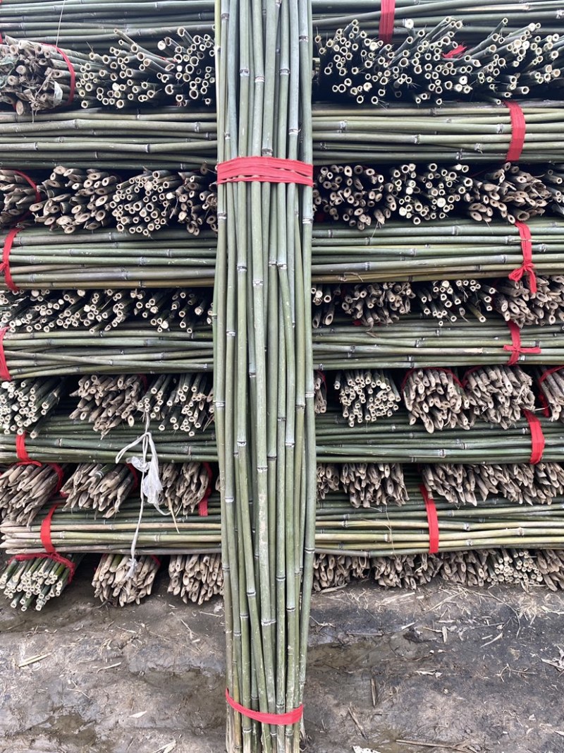菜架竹、豆角架、黄瓜架、西红柿架、山药架/辣椒架