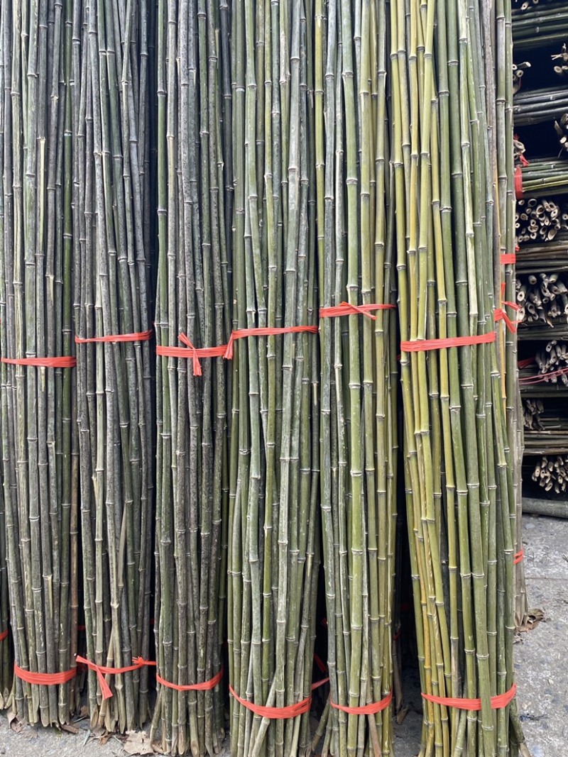 菜架竹、豆角架、黄瓜架、西红柿架、山药架/辣椒架