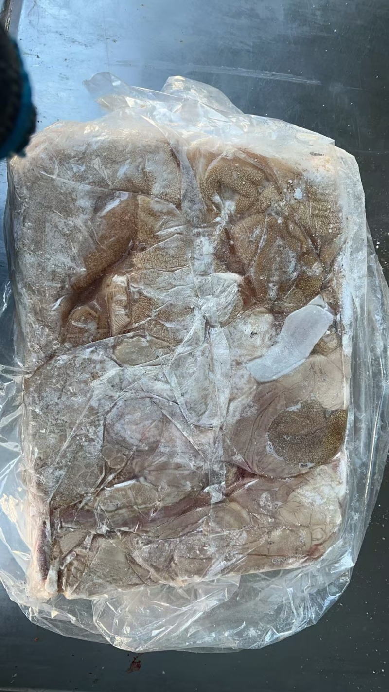 羊黄肚