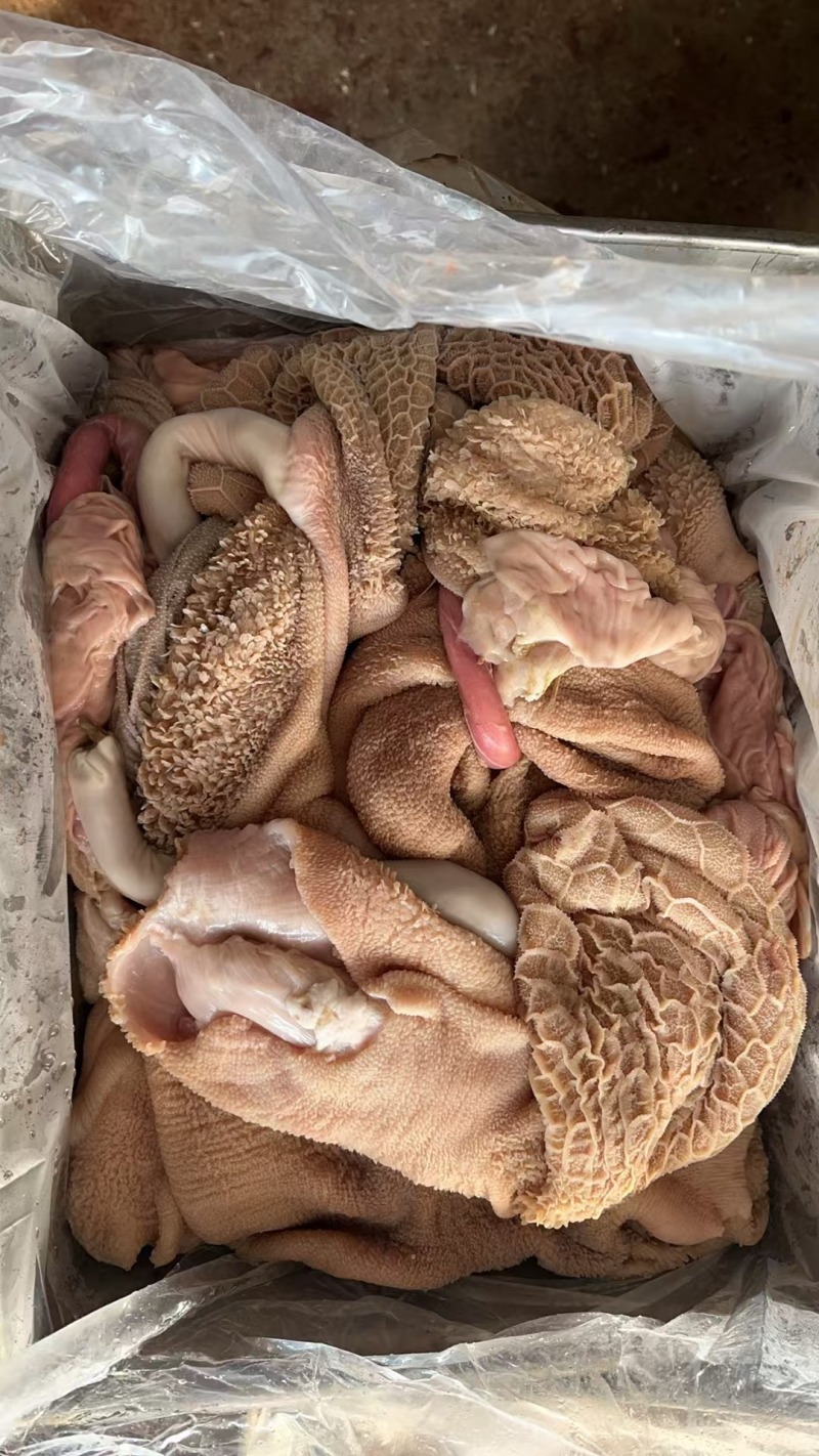 羊黄肚