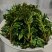 甘肃武都优质头茬花椒芽每年150吨量，绿色食品