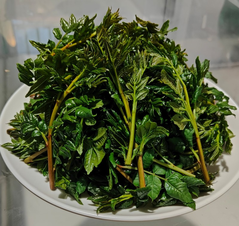 甘肃武都优质头茬花椒芽每年150吨量，绿色食品
