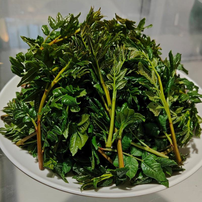 甘肃武都优质头茬花椒芽每年150吨量，绿色食品
