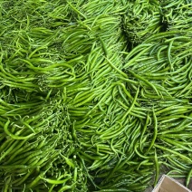 【优选螺线椒】品质保证，一手货源，无虫无烂，货源充足，电