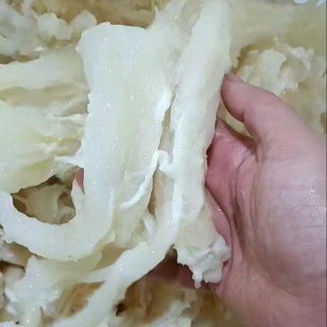 牛蹄筋。副筋。