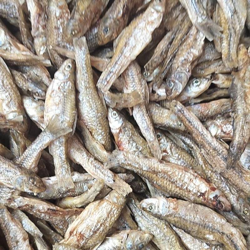 麦穗鱼干微山湖特产一手货源品质保障