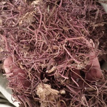 紫菀新紫菀产地直销无硫水洗紫菀小辫干净无杂大货批发零售