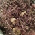 紫菀新紫菀产地直销无硫水洗紫菀小辫干净无杂大货批发零售