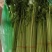 小香芹