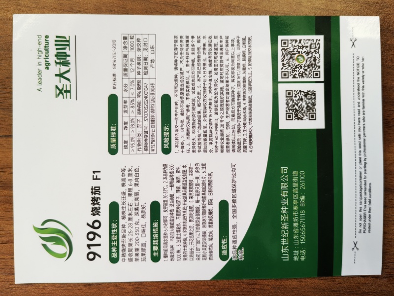 9196烧烤茄种子