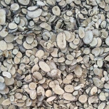 大别山野生青风藤片