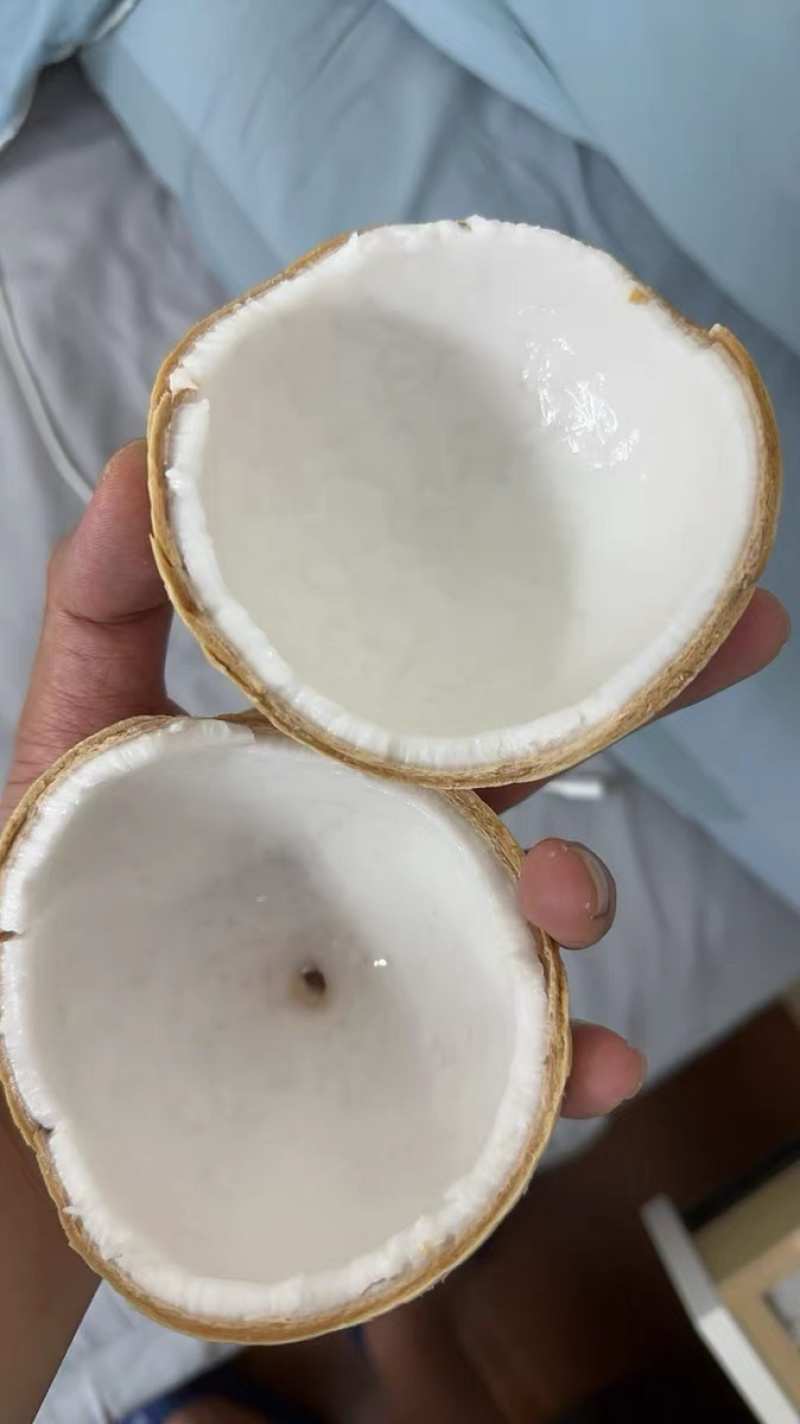 奶椰